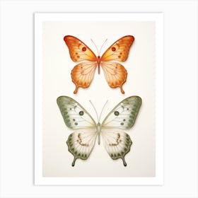 Two Butterflies Isolated On White Background Art Print