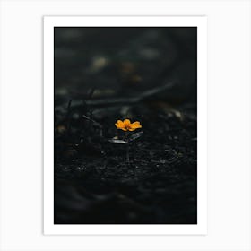 Flower In The Dark 85 Art Print