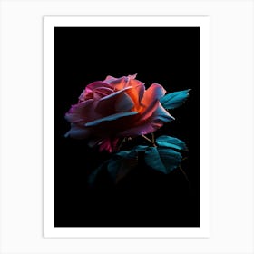 Rose On A Black Background 8 Art Print