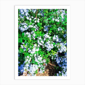 Natural fresh flowers and green plants 3 Art Print