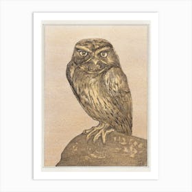 Little Owl On A Rock (1878–1908), Theo Van Hoytema Art Print
