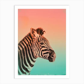 Zebra Polaroid Inspired Art Print