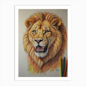 Lion Drawing 6 Art Print