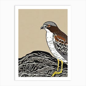 Eurasian Sparrowhawk 3 Linocut Bird Art Print