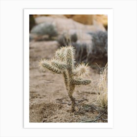 Joshua Tree National Park XVI Art Print