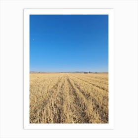 Aerial View Of A Wheat Field Art Print