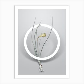 Vintage Daffodil Minimalist Flower Geometric Circle on Soft Gray Art Print