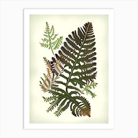 Rusty Back Fern 1 Vintage Botanical Poster Art Print