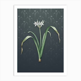 Vintage Small Flowered Pancratium Botanical on Slate Gray Pattern n.1394 Art Print