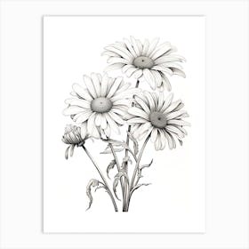 Daisies Flower Vintage Botanical 1 Art Print