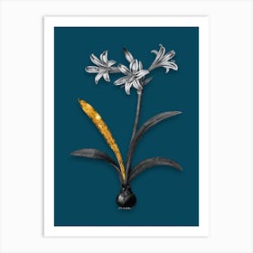 Vintage Amaryllis Black and White Gold Leaf Floral Art on Teal Blue Art Print