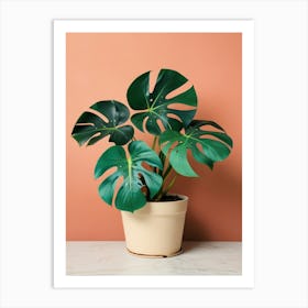 Monstera Plant 3 Art Print