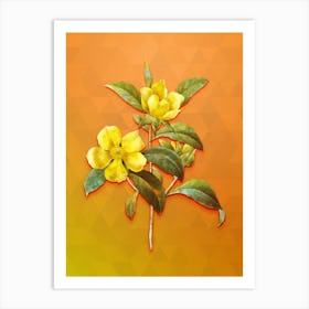 Vintage Golden Guinea Vine Botanical Art on Tangelo Art Print