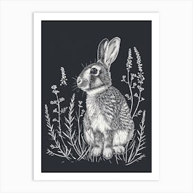 Californian Rabbit Minimalist Illustration 4 Art Print