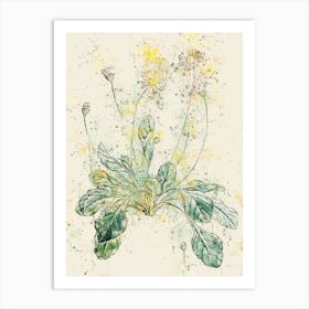 Dandelion Art Print