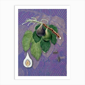 Vintage Fig Botanical Illustration on Veri Peri n.0210 Art Print