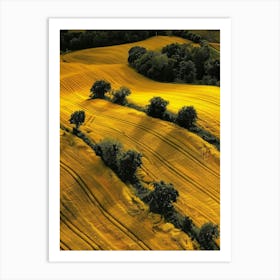 Golden Fields Art Print