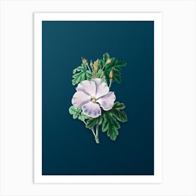 Vintage Wray's Hibiscus Flower Botanical Art on Teal Blue n.0553 Art Print