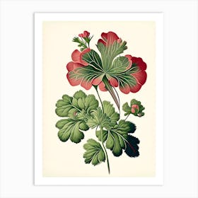 Wild Geranium Wildflower Vintage Botanical 2 Art Print