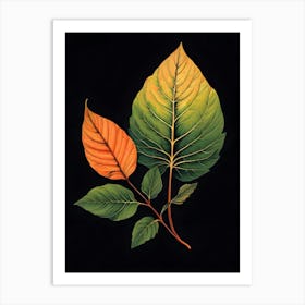 Two Leaves On A Black Background Art Print