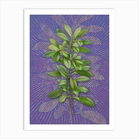 Vintage Firetree Branch Plant Botanical Illustration on Veri Peri n.0841 Art Print