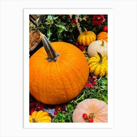 Pumpkins And Flowers Art Print