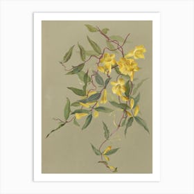 Yellow Flowers 2 Art Print