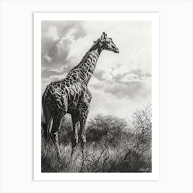 Giraffe In The Grass Pencil Drawing 8 Art Print
