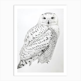 Snowy Owl Marker Drawing 1 Art Print