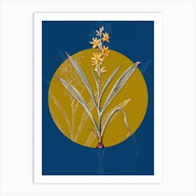 Vintage Botanical Wachendorfia Thyrsiflora on Circle Yellow on Blue Art Print