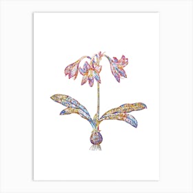 Stained Glass Netted Veined Amaryllis Mosaic Botanical Illustration on White n.0093 Art Print