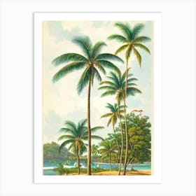 Crane Beach Barbados Vintage Art Print