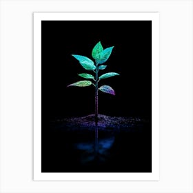 Plant In The Dark 3 Art Print