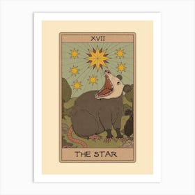 The Star - Possum Tarot Art Print