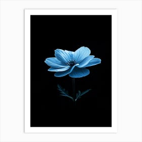 Blue Flower 1 Art Print