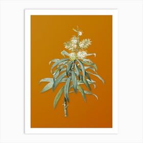Vintage Pleomele Botanical on Sunset Orange n.0696 Art Print