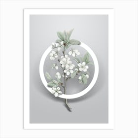 Vintage White Plum Flower Minimalist Flower Geometric Circle on Soft Gray n.0313 Art Print