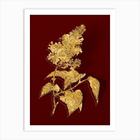 Vintage Common Pink Lilac Plant Botanical in Gold on Red n.0137 Art Print