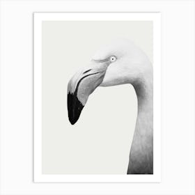 Flamingo 2 Art Print