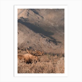 Autumn Moose Scenery Art Print