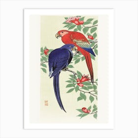 Red And A Blue Parrot (1925 1936), Ohara Koson Art Print