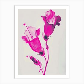 Hot Pink Foxglove 1 Art Print