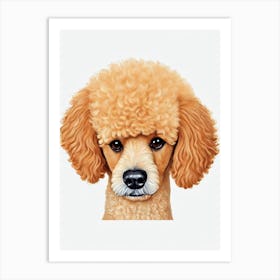 Poodle Illustration Dog Art Print