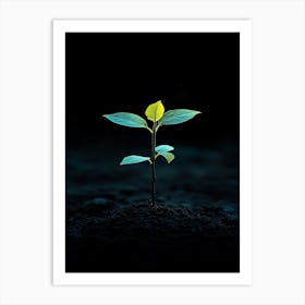 Small Green Plant On Black Background 7 Art Print