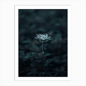 Lotus Flower 47 Art Print