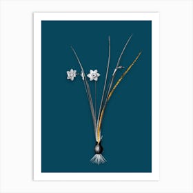 Vintage Daffodil Black and White Gold Leaf Floral Art on Teal Blue n.0425 Art Print