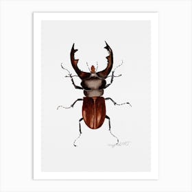 Lucanus cervus, the stag beetle, watercolor artwork Art Print