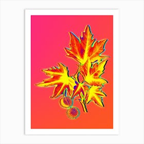 Neon Old World Sycamore Botanical in Hot Pink and Electric Blue n.0569 Art Print