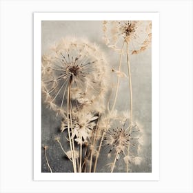 Dandelions 1 Art Print