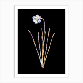 Stained Glass Narcissus Poeticus Mosaic Botanical Illustration on Black n.0194 Art Print